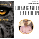 Elephants and Cheetahs: The Beauty of Operations - Saral Mukherjee